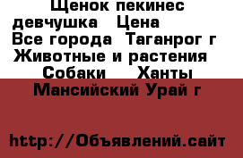 Щенок пекинес девчушка › Цена ­ 2 500 - Все города, Таганрог г. Животные и растения » Собаки   . Ханты-Мансийский,Урай г.